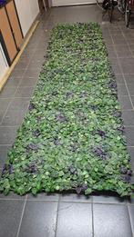Nep plantenmuur, Huis en Inrichting, Woonaccessoires | Kunstplanten en Kunstbloemen, Ophalen, Gebruikt, Kunstplant, Kunststof