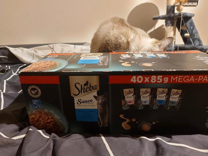 Sheba sauce collection, Dieren en Toebehoren, Katten-accessoires, Ophalen