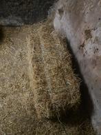 Kleine pakjes hooi en grote balen stroo te koop, Ophalen of Verzenden