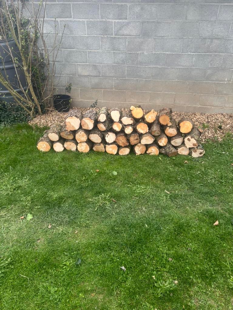 Perenhout te koop, Tuin en Terras, Ophalen