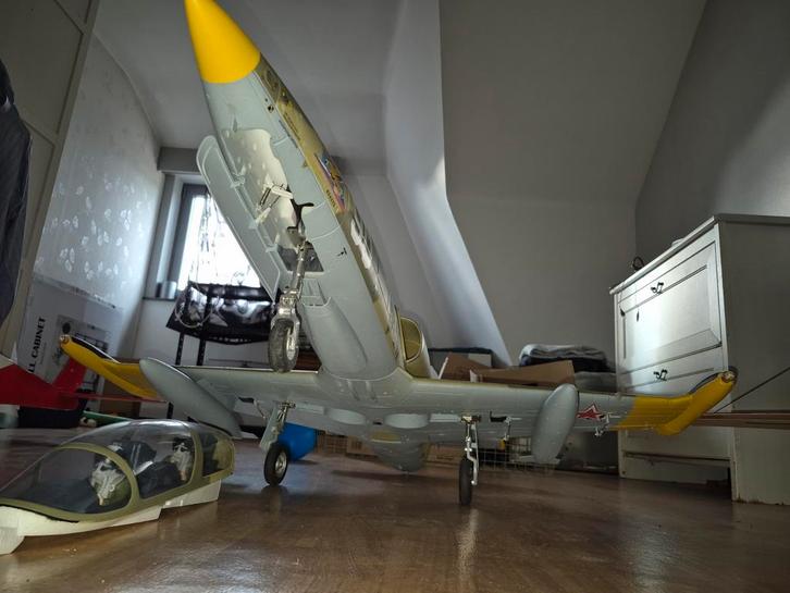 Freewing l39 albatros 6s jet edf, Hobby & Loisirs créatifs, Modélisme | Radiocommandé & Téléguidé | Avions, Enlèvement