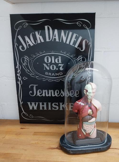 Rariteitenkabinet, Antiek en Kunst, Curiosa en Brocante, Ophalen of Verzenden