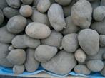bio aardappelen, Ophalen