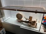 Terrarium gebruikt voor hamster - 120x50, Ophalen, Zo goed als nieuw, Hamster