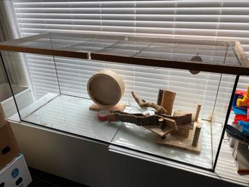 Terrarium gebruikt voor hamster - 120x50, Enlèvement, Comme neuf, Hamster