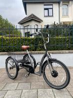 Driewieler met elektrische ondersteuning - Proxy Easy Rider, Ophalen of Verzenden, Zo goed als nieuw, Elektrische rolstoel