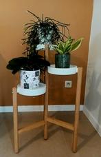 Plantenrekje, Enlèvement