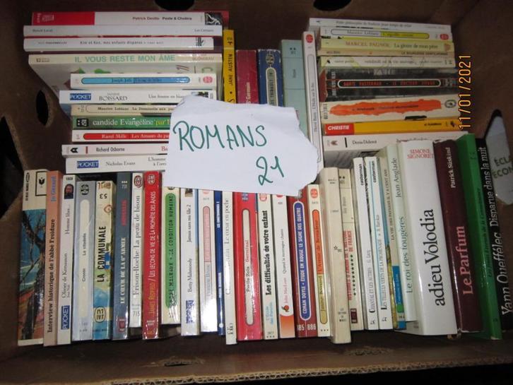 Livres +- 51 romans caisse n21 adam D, Boeken, Romans, Gelezen, Ophalen