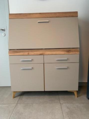 Computer Desk/Cupboard beschikbaar voor biedingen