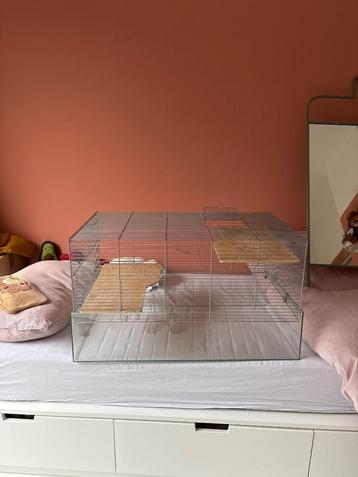 Groot hamsterhok beschikbaar voor biedingen
