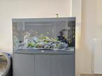 Aquatlantis Volga 350 met alle toebehoren, Dieren en Toebehoren, Ophalen, Zo goed als nieuw