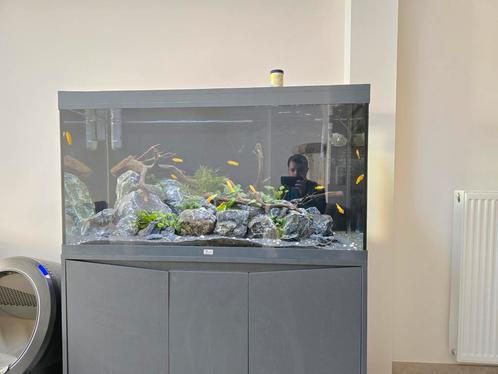 Aquatlantis Volga 350 met alle toebehoren, Dieren en Toebehoren, Vissen | Aquaria en Toebehoren, Zo goed als nieuw, Ophalen