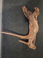 Uniek stuk terrarium aquarium hout, Dieren en Toebehoren