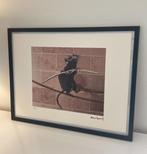 BANKSY: ingelijste en genummerde lithografie, Antiek en Kunst, Kunst | Litho's en Zeefdrukken, Ophalen of Verzenden