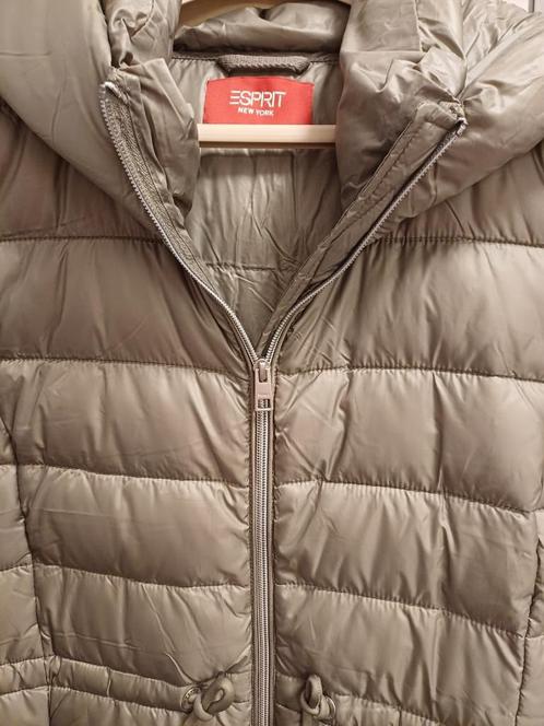 NIEUWE lange bodywarmer "ESPRIT", Kleding | Dames, Bodywarmers, Nieuw, Grijs, Verzenden