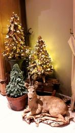 Opgezette liggende herten taxidermie, Ophalen