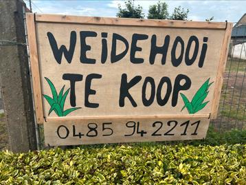 Weidehooi kleine ballots beschikbaar voor biedingen