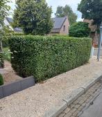 Entretien de jardin, Jardinier, Jardinage Vlaams Brabant, Services & Professionnels, Entretien de jardins ou Taille