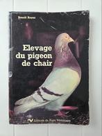 Elevage du pigeon de chair, Livres, Nature, Utilisé, Enlèvement ou Envoi, Benoît Royer, Oiseaux