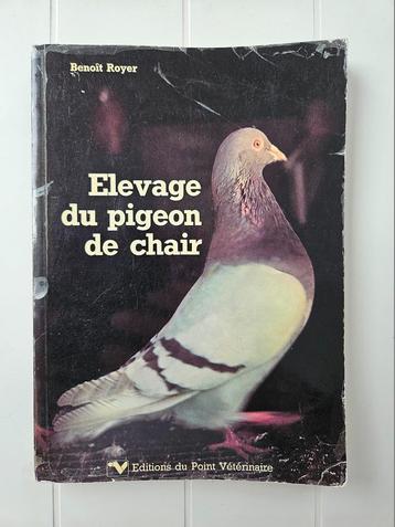 Elevage du pigeon de chair