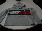 Mooi truitje met kap XS Tommy Hilfigher, Tommy hilfiger, Enlèvement ou Envoi, Autres couleurs, Taille 34 (XS) ou plus petite