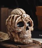 Belle statue de crâne avec araignée (16 cm), Collections, Enlèvement ou Envoi, Neuf