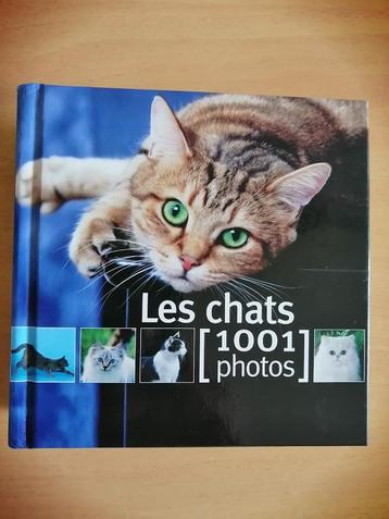 Les chats : 1001 Photos de Yann Susic beschikbaar voor biedingen