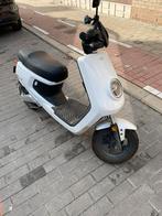Niu elektrische scooter b klasse, Enlèvement, Comme neuf