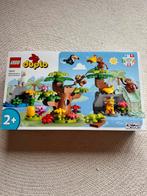 Duplo set van animals of South Africa. Zo goed als nieuw!, Ophalen, Duplo