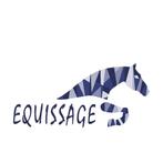 Sportmassage voor je paard – Recreatief én professioneel, Dieren en Toebehoren