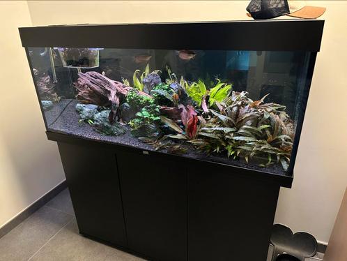Juwel rio 240 met ext. Oase Biomaster en helialux/wifi, Dieren en Toebehoren, Vissen | Aquaria en Toebehoren, Gebruikt, Gevuld zoetwateraquarium