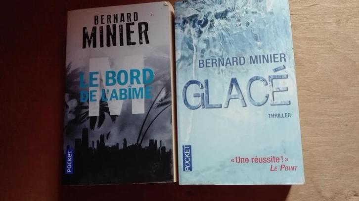 Bernard Minier, Boeken, Thrillers, Gelezen, Ophalen of Verzenden