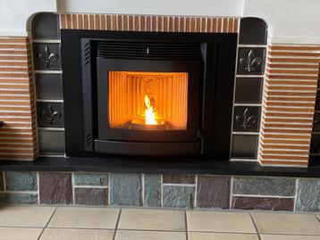 Pelletkachel inbouwcassette in perfecte staat beschikbaar voor biedingen