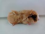 Cavia vrouwtje, Dieren en Toebehoren, Knaagdieren, Cavia