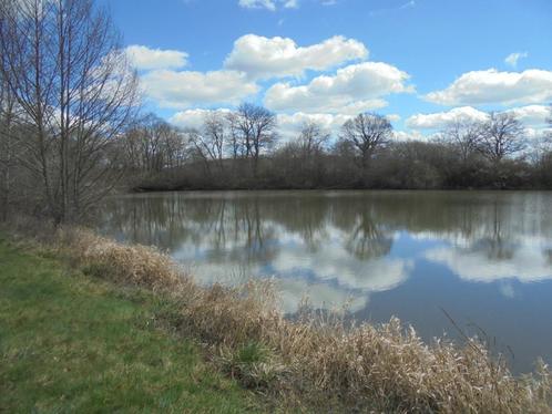 karper vissen in frankrijk, Watersport en Boten, Hengelsport | Karpervissen, Ophalen of Verzenden