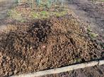 Paardenmedt gratis, Tuin en Terras, Aarde en Mest, Ophalen, Mest