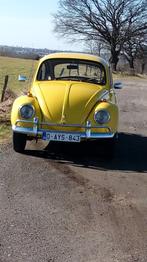 Volkswagen Coccinelle a vendre, Autos, Volkswagen, Achat, Boîte manuelle, Noir, Berline