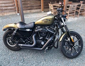 2017 Sportster XL883N Iron (Olive Gold) beschikbaar voor biedingen