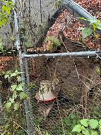 Kippenhok en ren gegalvaniseerd metaal(roestvrij), Dieren en Toebehoren, Pluimvee | Toebehoren, Ophalen, Gebruikt