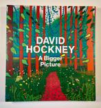 David Hockney - Livre d'art- A Bigger Picture - Parfait état, Enlèvement ou Envoi, Neuf