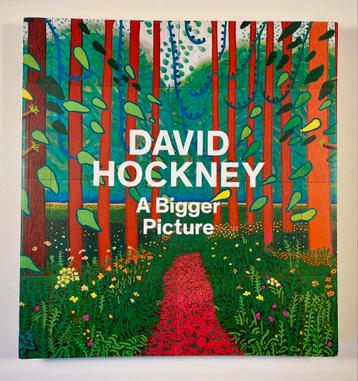 David Hockney - Kunstboek - A Bigger Picture  - Nieuwstaat