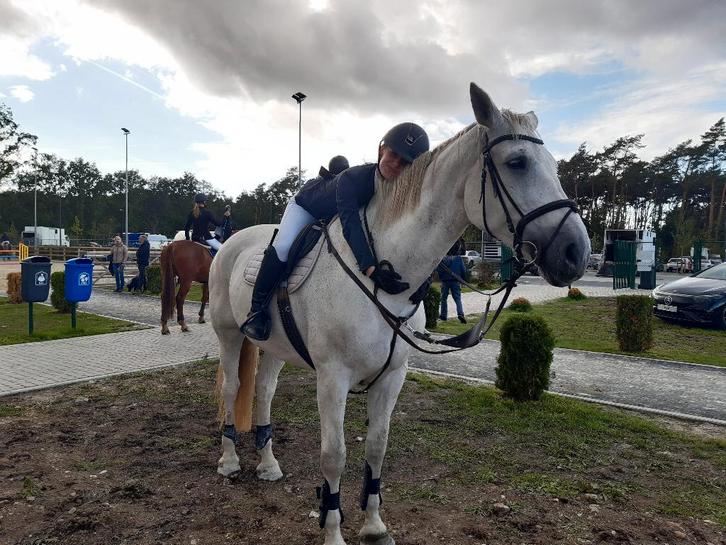 Fokmerrie - Draagmerrie, Animaux & Accessoires, Chevaux & Poneys | Étalons & Juments poulinières, Jument