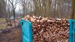 Brandhout te koop – half droog!, Tuin en Terras, Brandhout, Ophalen of Verzenden, Beukenhout, Blokken