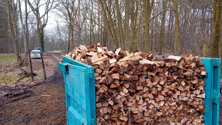 Brandhout te koop – half droog!, Tuin en Terras, Brandhout, Blokken, Beukenhout, Ophalen of Verzenden