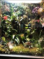 Groot paludarium of terrarium, Dieren en Toebehoren, Ophalen, Zo goed als nieuw, Verlichting