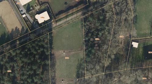 Bosgrond 3735m2 te Lille met kapvergunning, Immo, Gronden en Bouwgronden, 1500 m² of meer