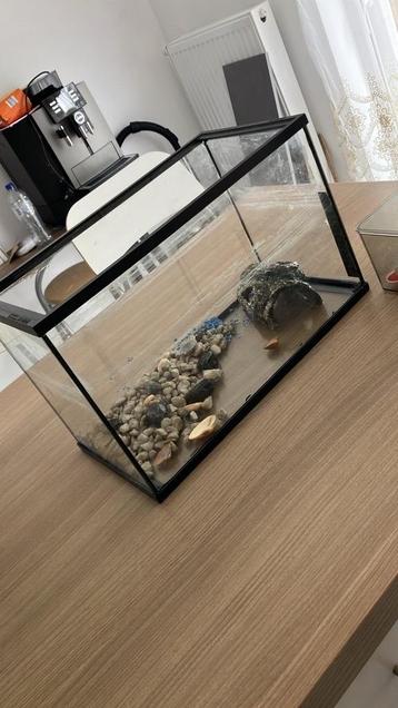 Glazen aquarium beschikbaar voor biedingen