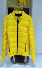 Jas, Vêtements | Hommes, Vestes | Hiver, Enlèvement ou Envoi