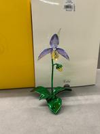Swarovski 2026 Idyllia Florere Lady slipper orchid, Verzamelen, Swarovski, Ophalen of Verzenden, Nieuw, Figuurtje