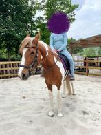 Paard: Merrie met kennis grondwerk, Dieren en Toebehoren, Paarden, Merrie, Minder dan 160 cm, Gechipt, Zadelmak